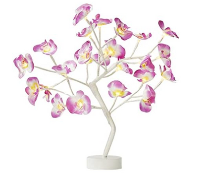 Orchid LED Desk Lamp Table Light